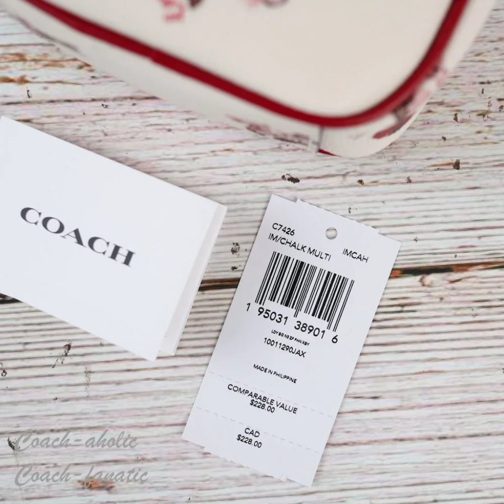 NWT Coach North South Zip Phone Crossbody With Ladybug Floral Print - Picture 12 of 12